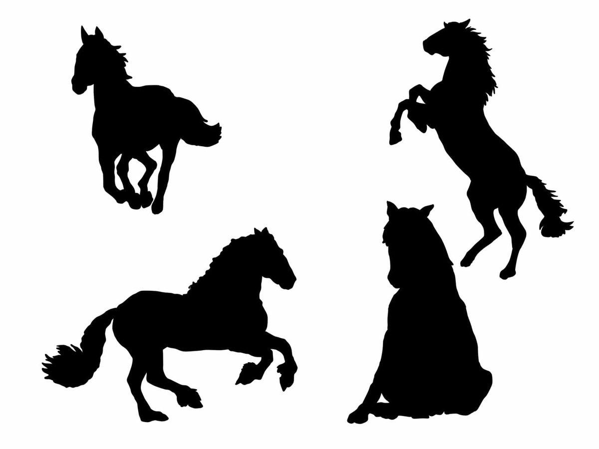 f:id:yosounohone:20211106081734j:plain