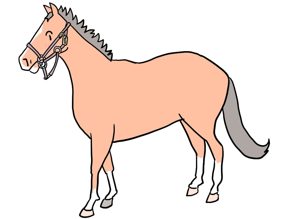 f:id:yosounohone:20211201082441j:plain