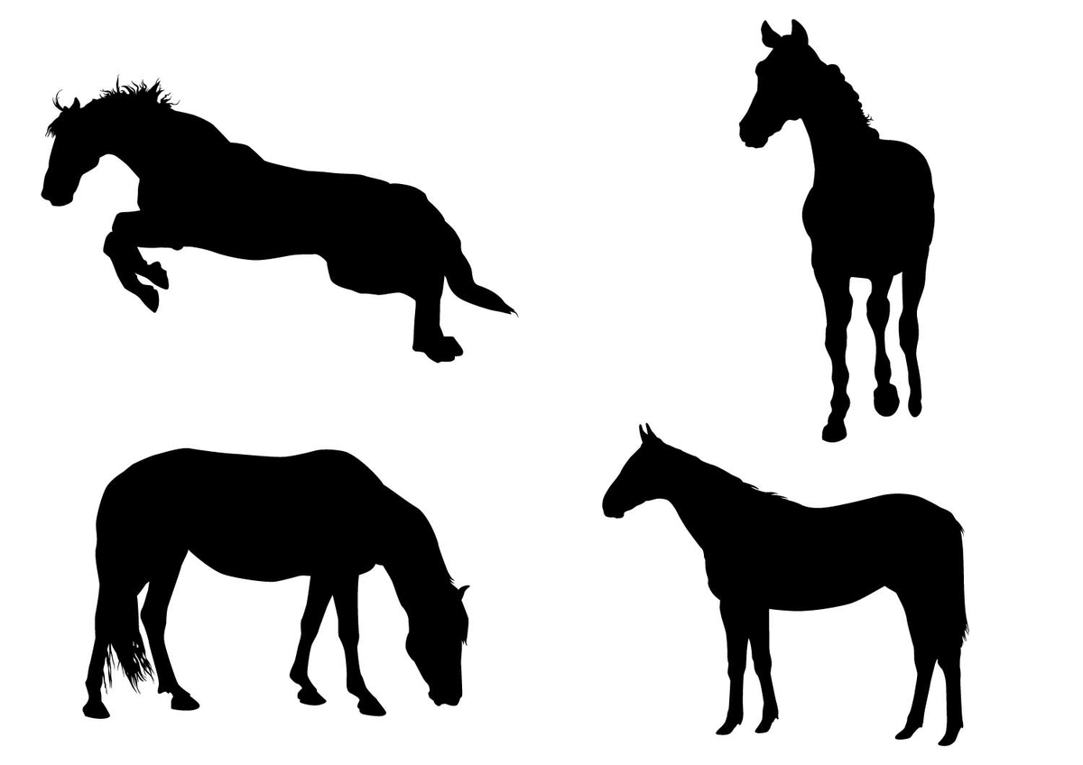 f:id:yosounohone:20220324082118j:plain