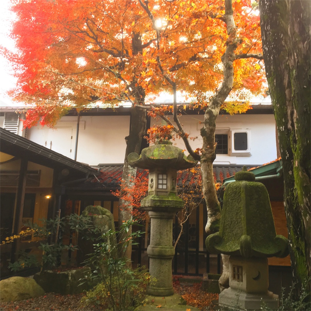 f:id:yosshiiha:20161123015003j:image f:id:yosshiiha:20161123015003j:image