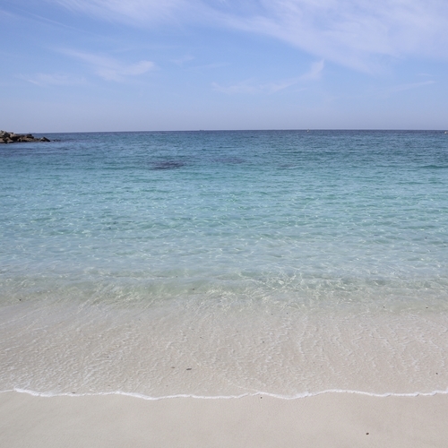 f:id:yossie_ko:20190425153352j:plain f:id:yossie_ko:20190425153352j:plain