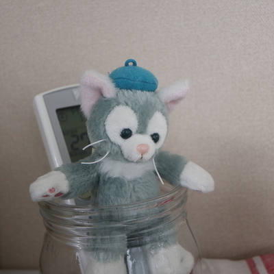 f:id:yossie_ko:20191120160542j:plain f:id:yossie_ko:20191120160542j:plain