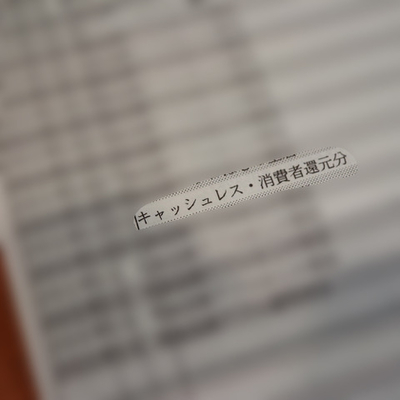 クレジットカード明細に初の キャッシュレス 消費者還元分 の文字 ちょうどよくて ちょっといい日々