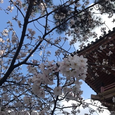 f:id:yossie_ko:20200403123300j:plain f:id:yossie_ko:20200403123300j:plain