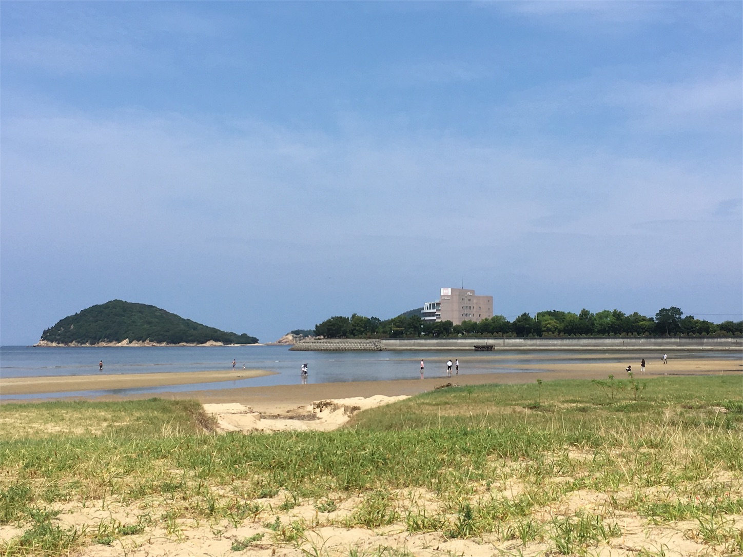 f:id:yossssoy:20190629231500j:image f:id:yossssoy:20190629231500j:image