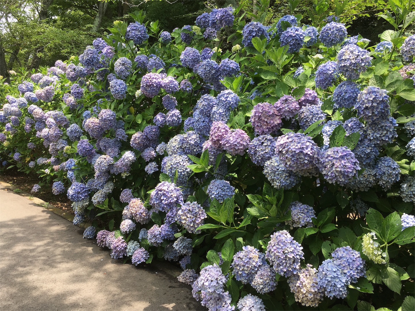 f:id:yossssoy:20190701004704j:image f:id:yossssoy:20190701004704j:image