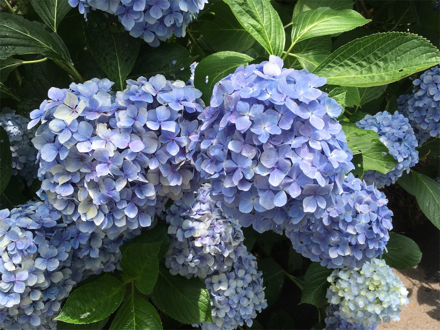 f:id:yossssoy:20190701004711j:image f:id:yossssoy:20190701004711j:image