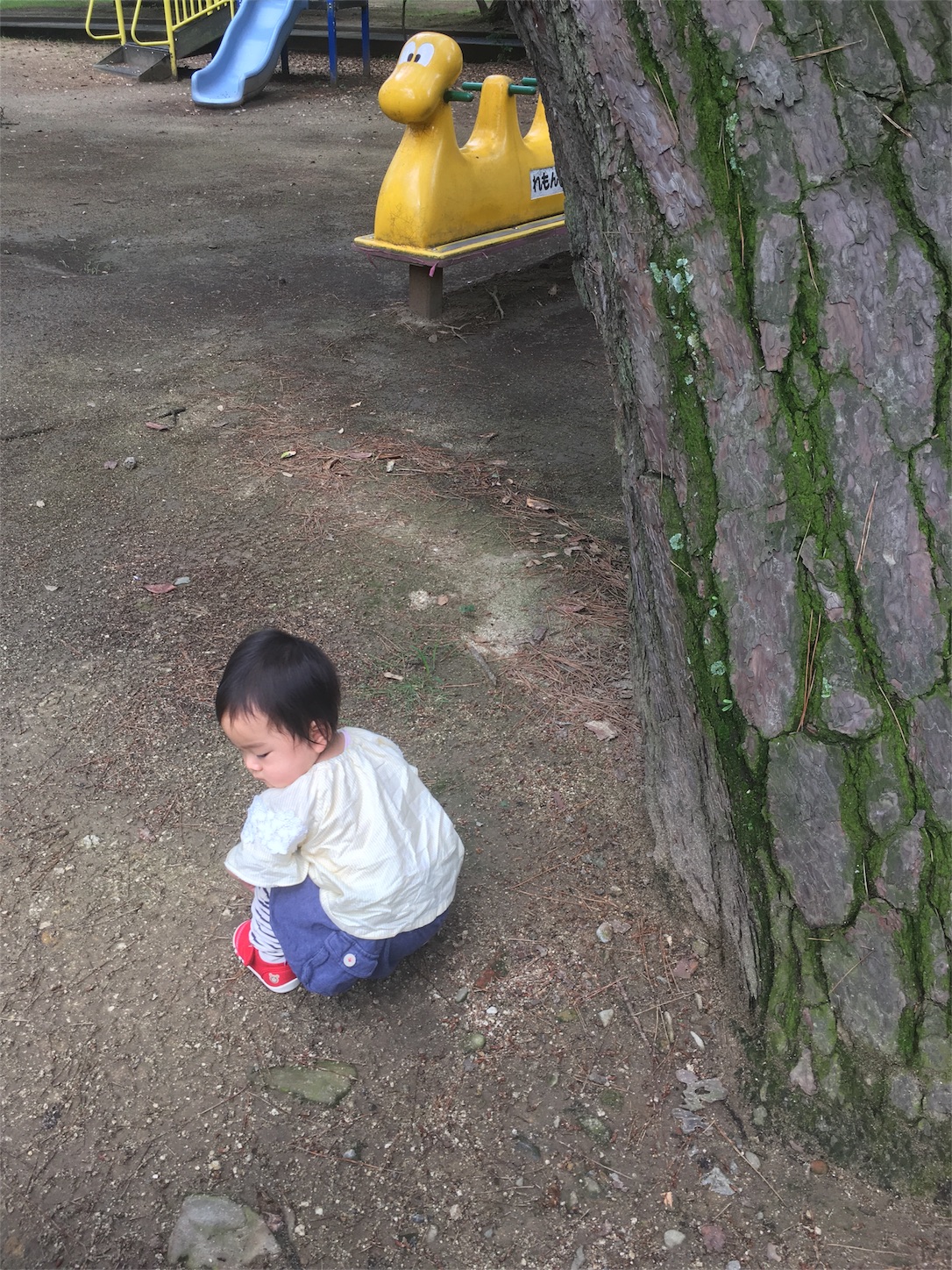 f:id:yossssoy:20190711200925j:image f:id:yossssoy:20190711200925j:image