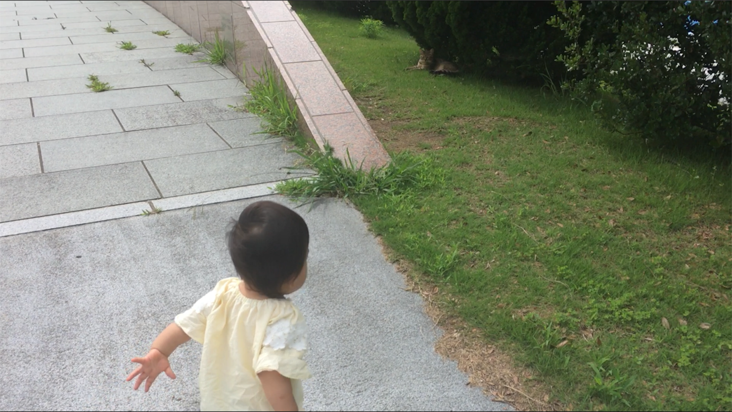 f:id:yossssoy:20190711211539p:image f:id:yossssoy:20190711211539p:image