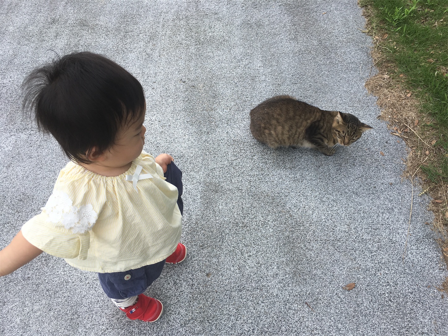 f:id:yossssoy:20190711211644j:image f:id:yossssoy:20190711211644j:image
