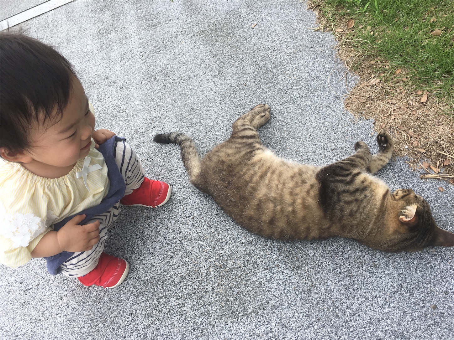 f:id:yossssoy:20190711211735j:image f:id:yossssoy:20190711211735j:image