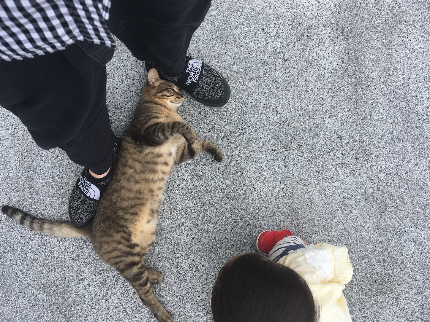 f:id:yossssoy:20190711212133j:image f:id:yossssoy:20190711212133j:image