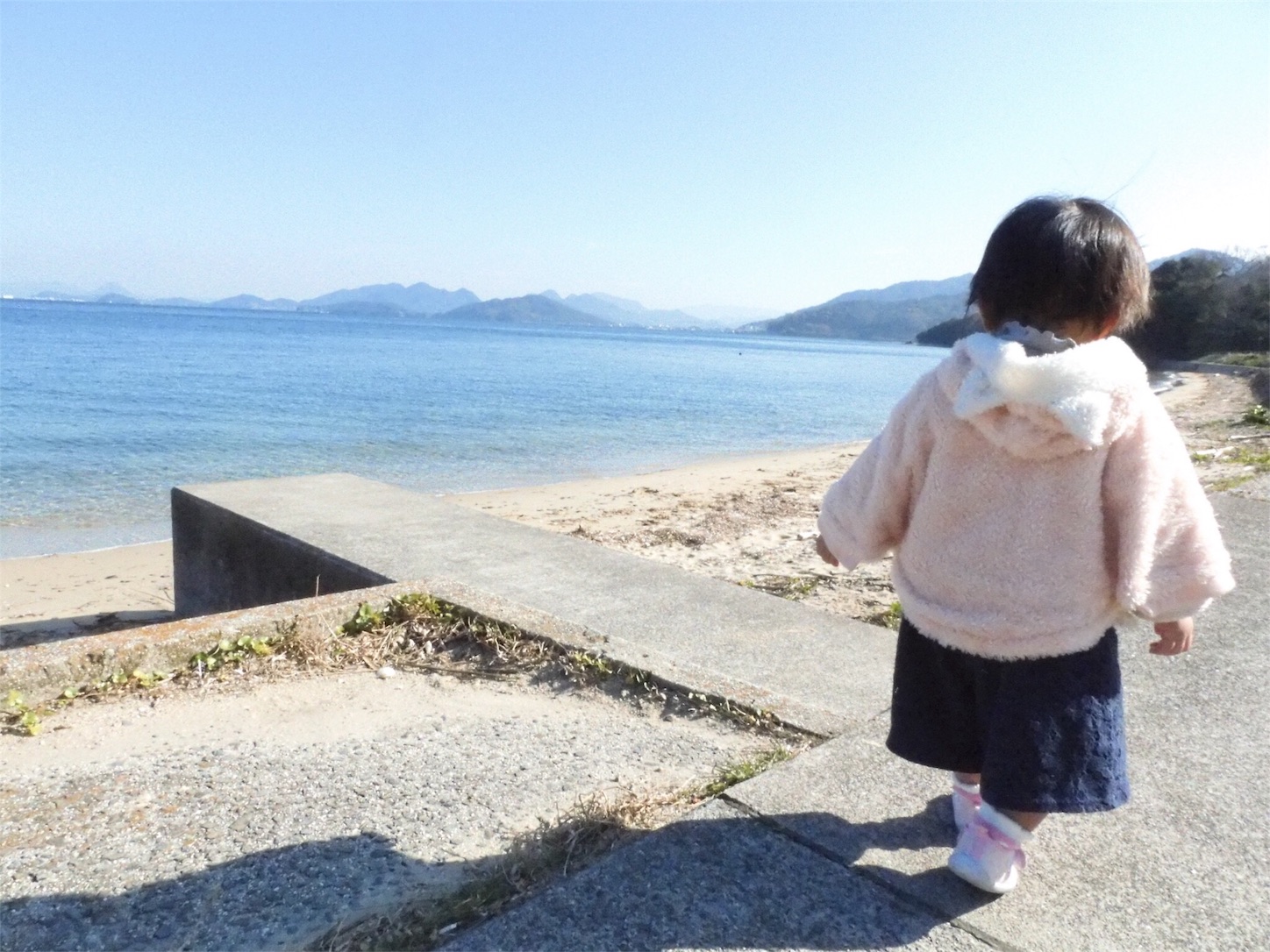 f:id:yossssoy:20200112222428j:image f:id:yossssoy:20200112222428j:image