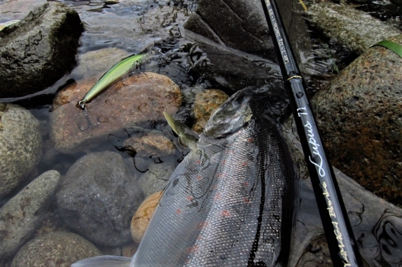 f:id:yossy-nt:20180702072341j:image