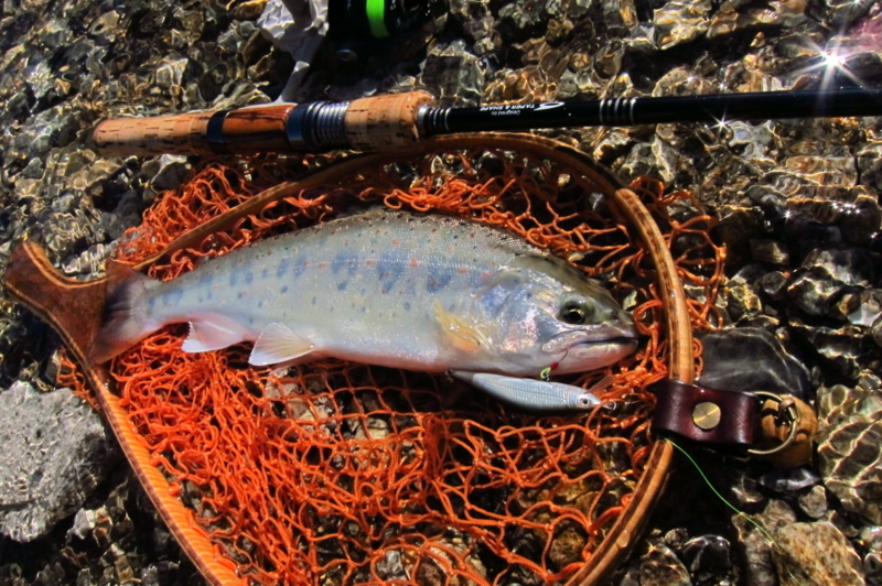 f:id:yossy-nt:20180709074054j:image