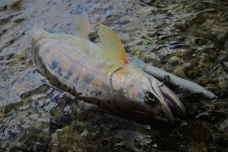 f:id:yossy-nt:20180709111121j:image