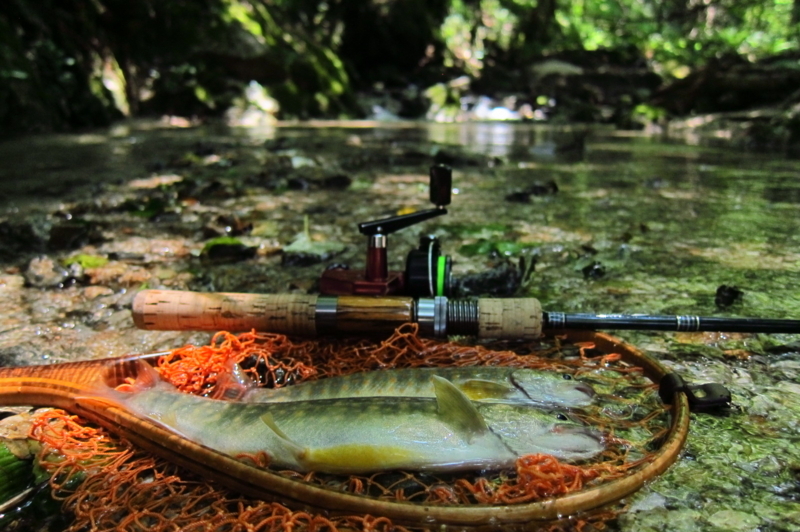 f:id:yossy-nt:20180719120404j:image