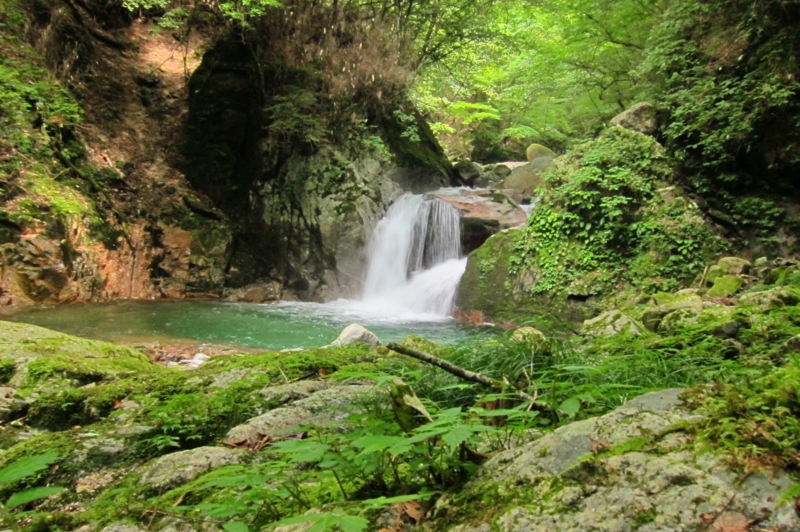 f:id:yossy-nt:20180828134200j:image