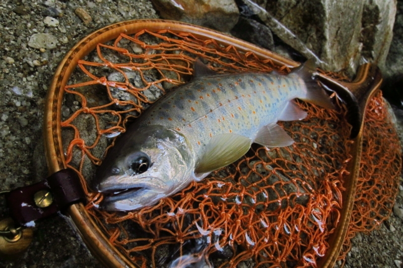 f:id:yossy-nt:20180828143511j:image