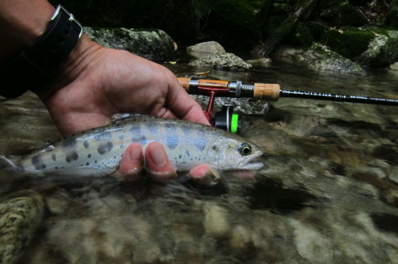 f:id:yossy-nt:20180828150738j:image