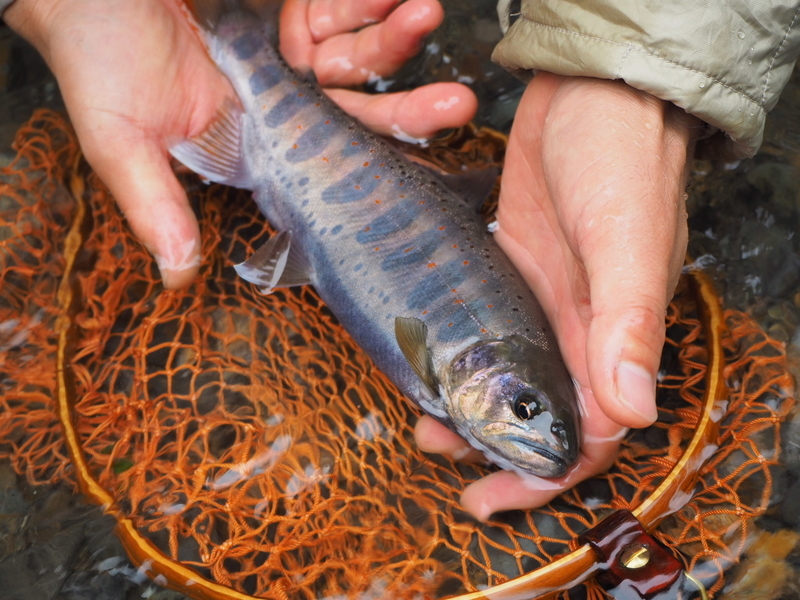 f:id:yossy-nt:20180912075227j:image