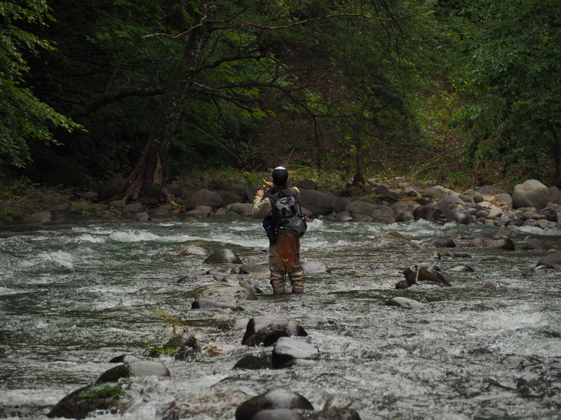 f:id:yossy-nt:20180912082337j:image