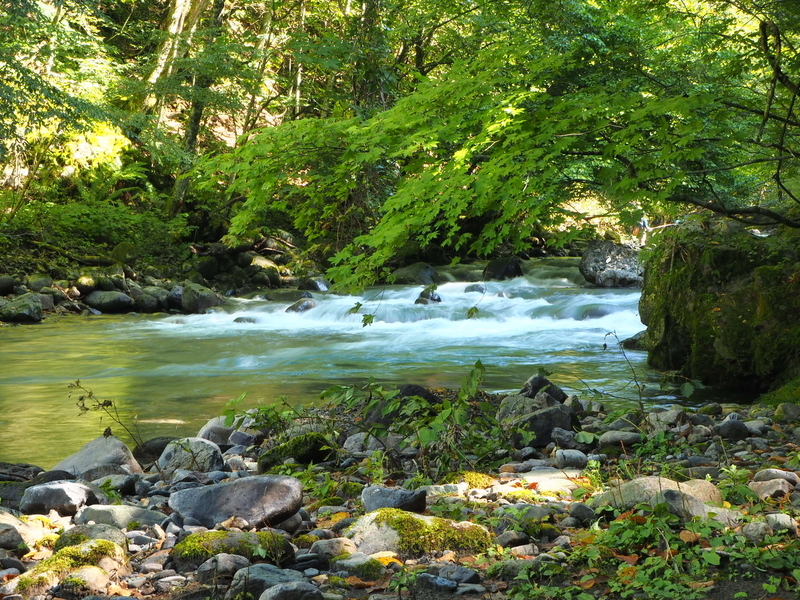 f:id:yossy-nt:20180919093802j:image