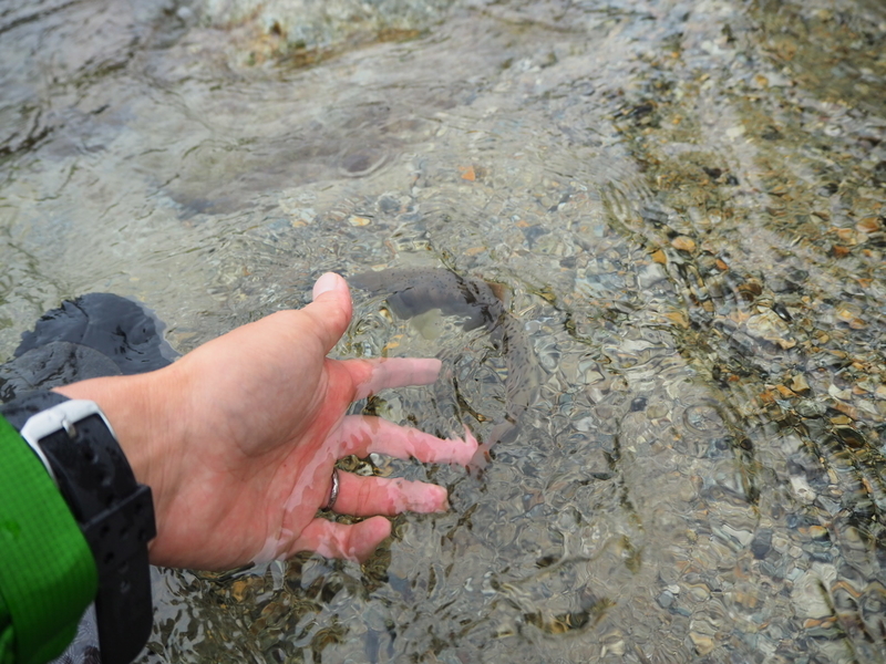 f:id:yossy-nt:20180925102526j:image