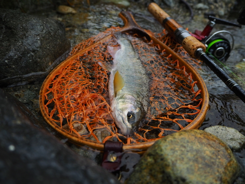 f:id:yossy-nt:20180925111703j:image