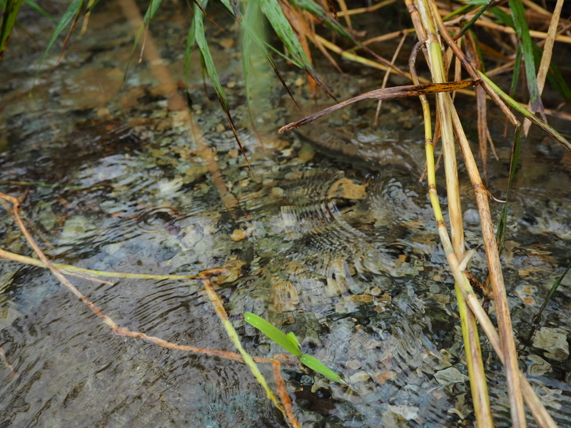 f:id:yossy-nt:20180925112256j:image