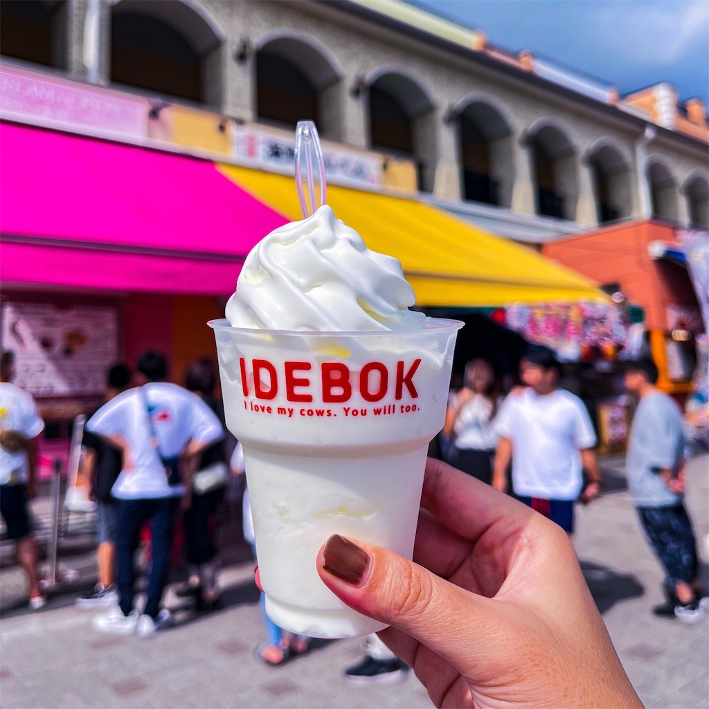 f:id:yossy713:20230807084131j:image