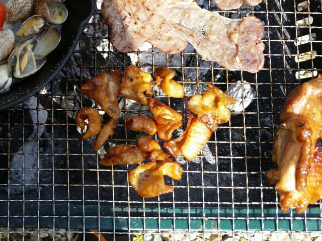 f:id:yossy_ph:20180712224307j:plain バーベキューでいわちくのホルモン
