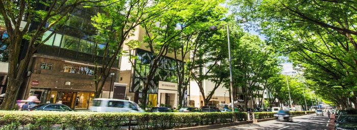 f:id:yossyman:20190622125801j:plain