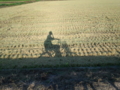 20120913162709