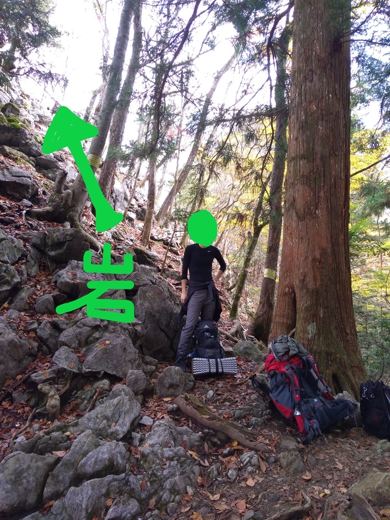 f:id:yosuke-kun:20181113150159j:plain