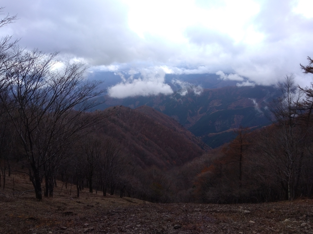 f:id:yosuke-kun:20181113152335j:plain
