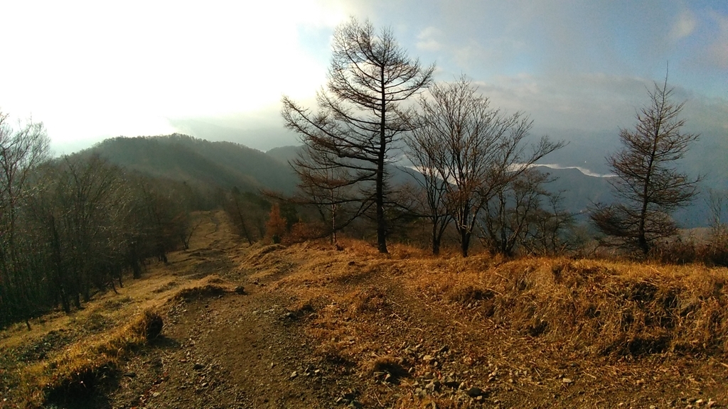f:id:yosuke-kun:20181113155038j:plain