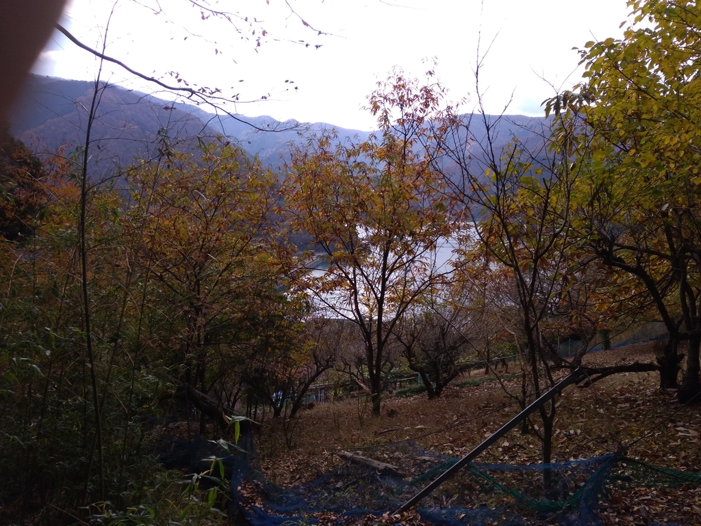 f:id:yosuke-kun:20181113155709j:plain