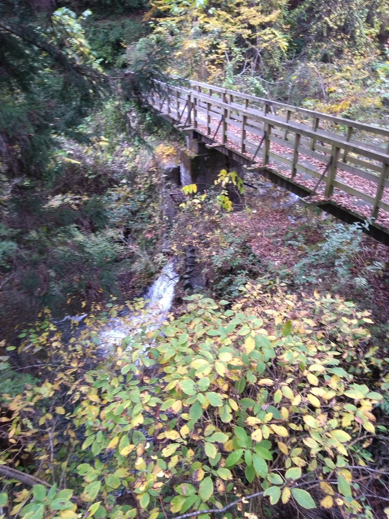 f:id:yosuke-kun:20181113155936j:plain