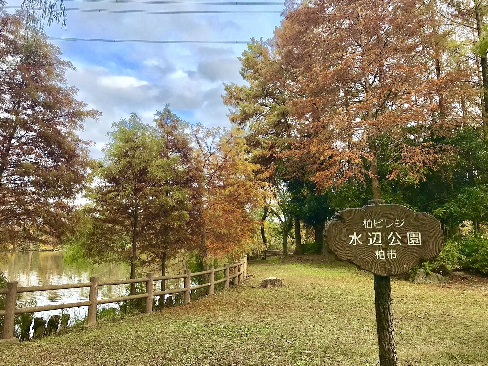 f:id:yosuke0609ak:20181118144350p:plain f:id:yosuke0609ak:20181118144350p:plain