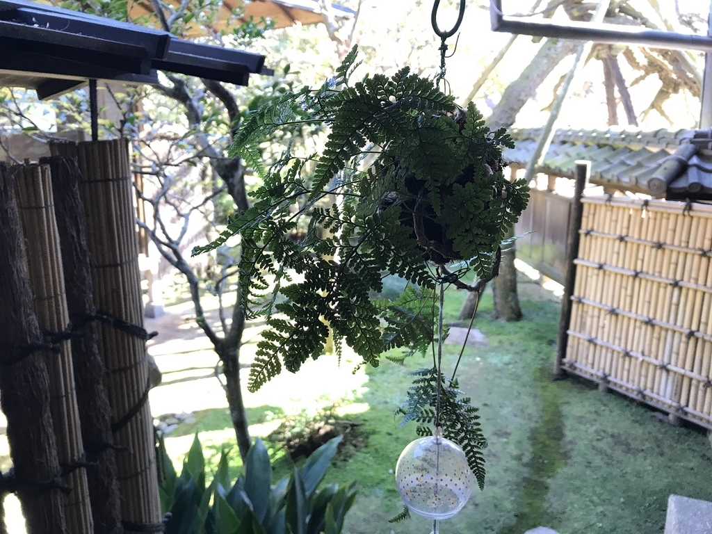 f:id:yosuke0609ak:20181125111224j:plain f:id:yosuke0609ak:20181125111224j:plain