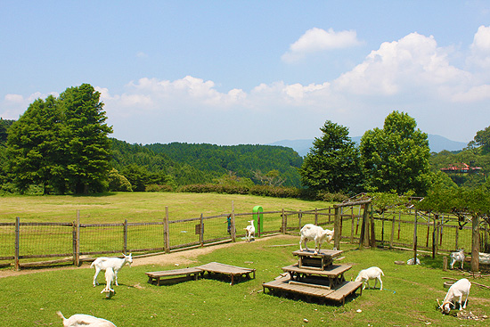 f:id:yosuke427:20110726000112j:image