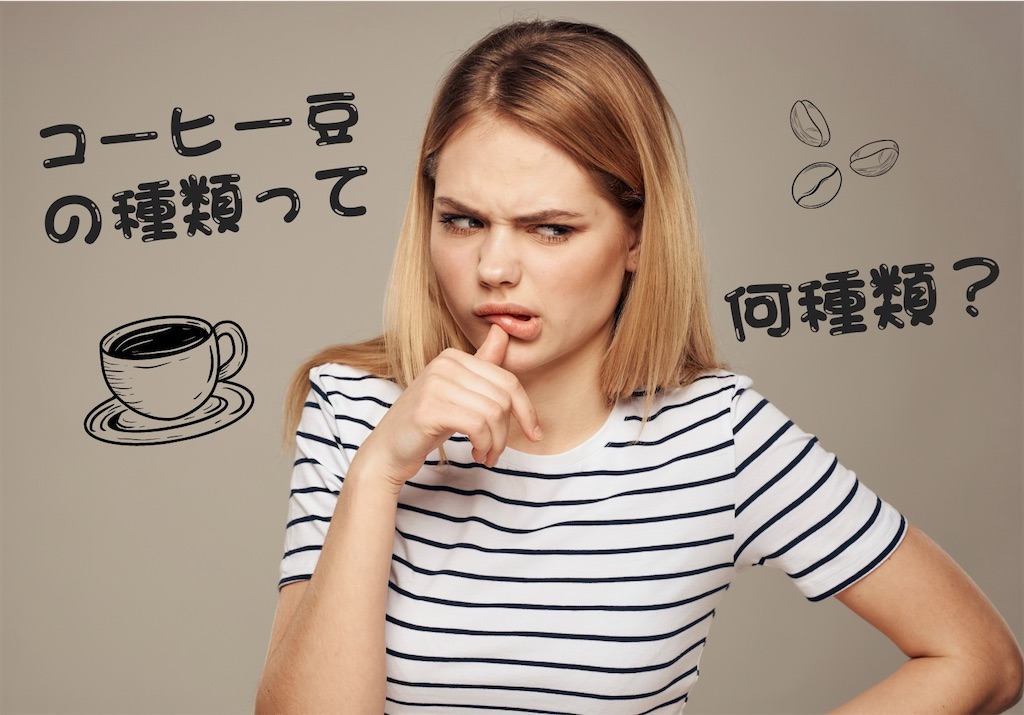 f:id:yosuke878:20230523220648j:image f:id:yosuke878:20230523220648j:image