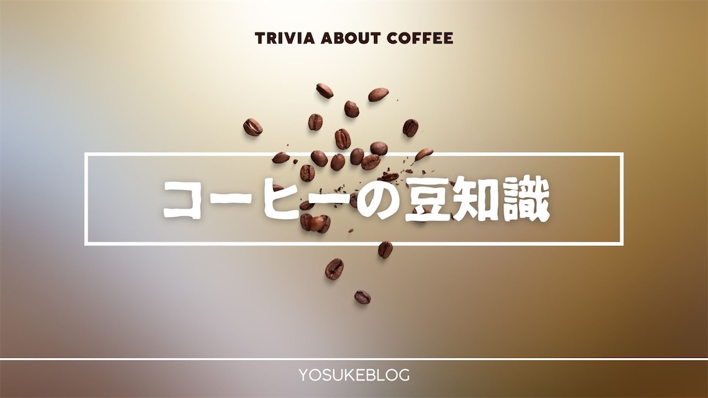 f:id:yosuke878:20230525230814j:image f:id:yosuke878:20230525230814j:image