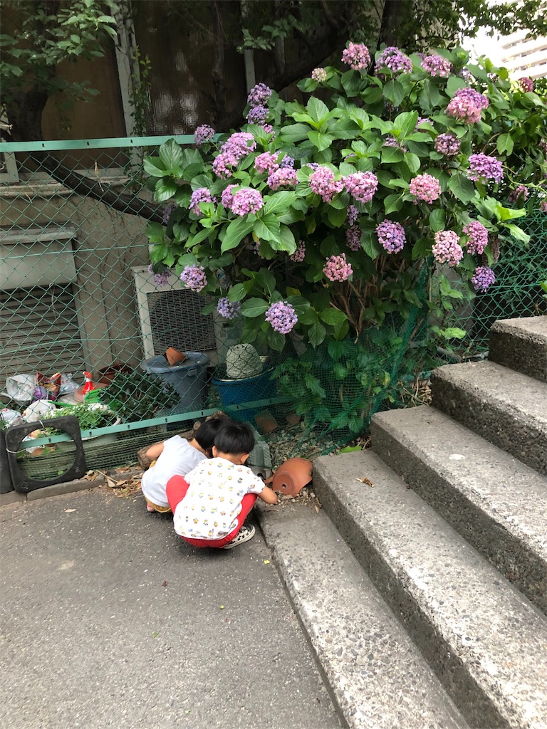 f:id:yosukeview:20190715235631j:image f:id:yosukeview:20190715235631j:image