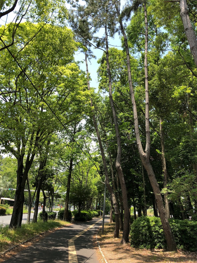 f:id:yosweet_0907:20190610171309j:image f:id:yosweet_0907:20190610171309j:image