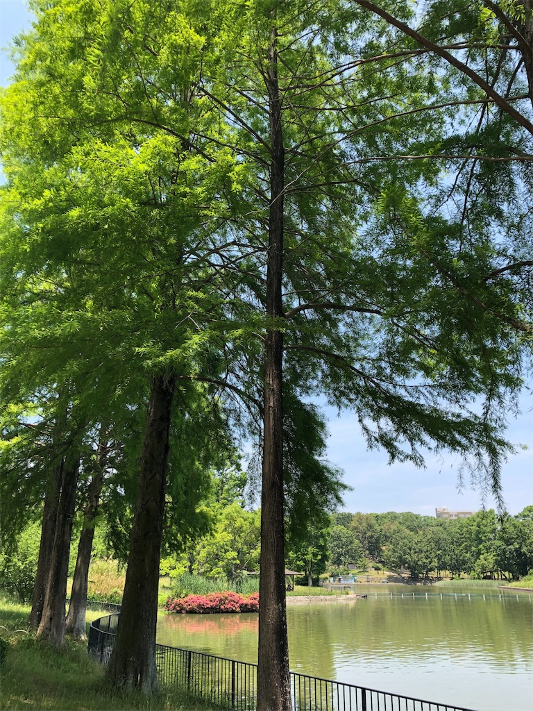 f:id:yosweet_0907:20190610171313j:image f:id:yosweet_0907:20190610171313j:image