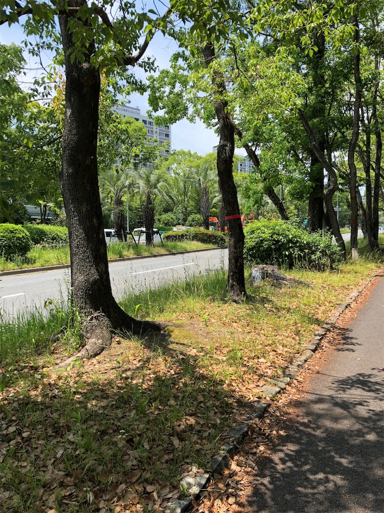 f:id:yosweet_0907:20190610171325j:image f:id:yosweet_0907:20190610171325j:image