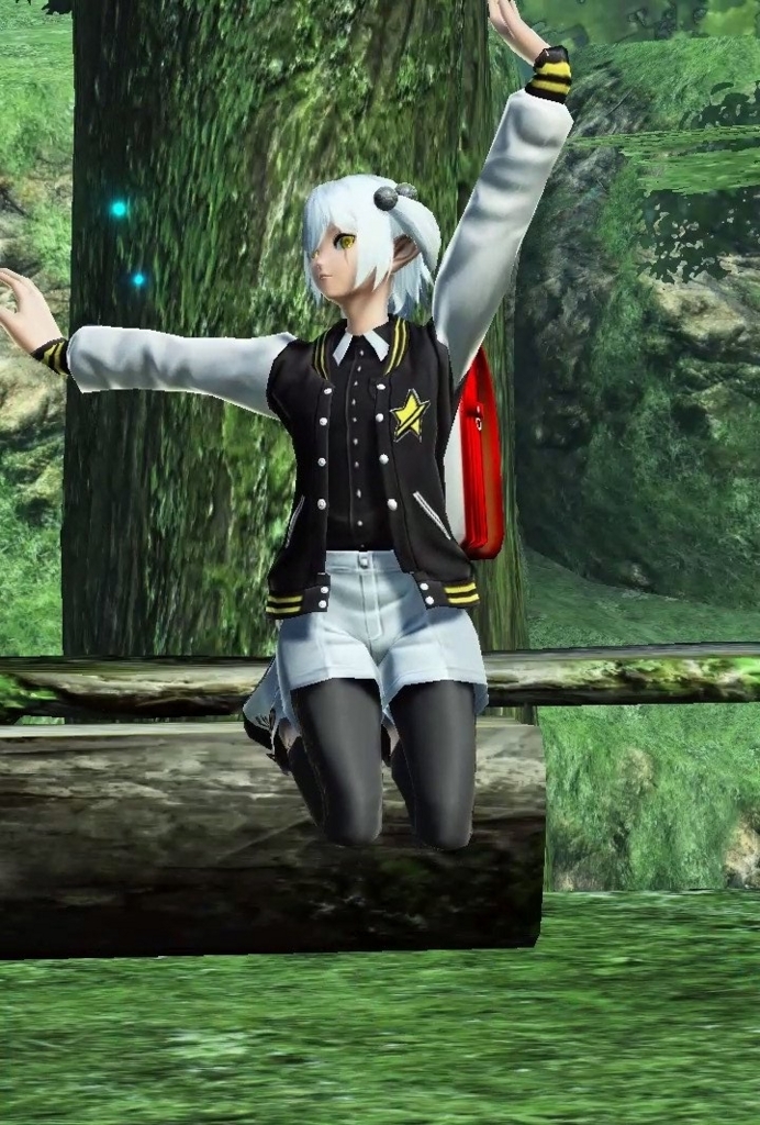 男の娘とくしゅ Wー V よしゅのpso2備忘録 男の娘とくしゅ Wー V よしゅのpso2備忘録