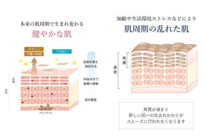 顔のテカリ対策!不要な角質をやさしくオフするリセットスキンケア - 見た目年齢は何で決まる?あなたにピッタリのスキンケアを紹介